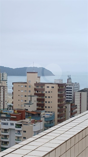 Foto REO1136206