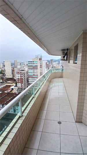 Foto REO1136206