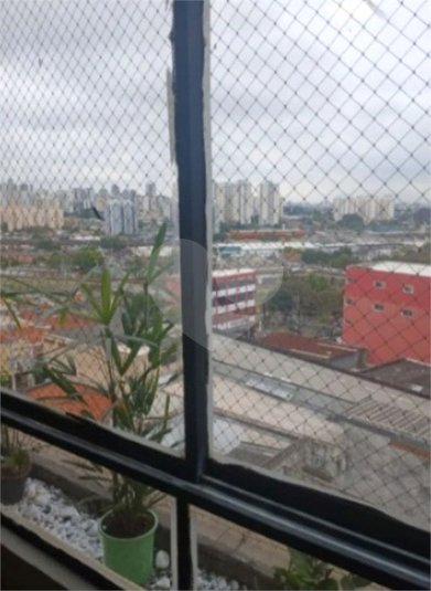 Foto REO1136210