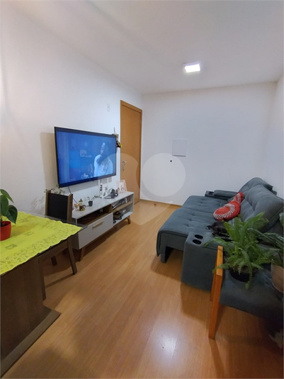 Foto REO1136233