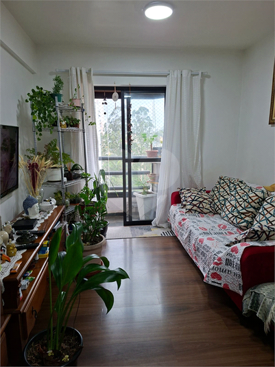 Foto REO1136241