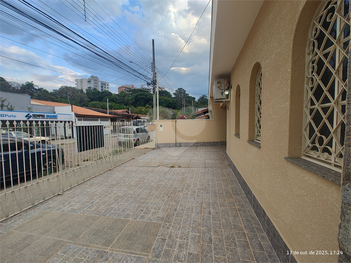 Foto REO1136265