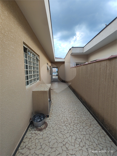 Foto REO1136265