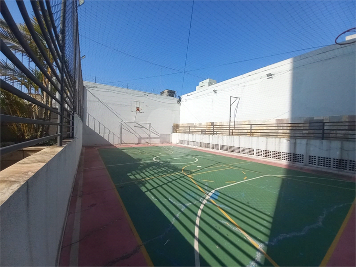 Foto REO1136273