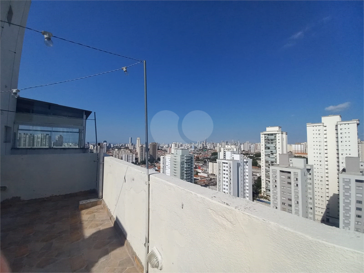 Foto REO1136273