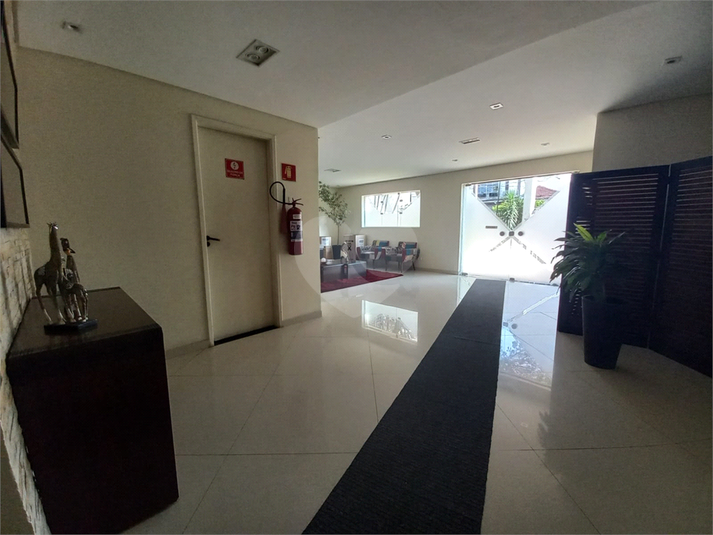 Foto REO1136273