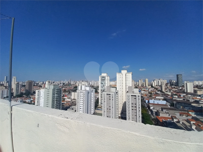 Foto REO1136273