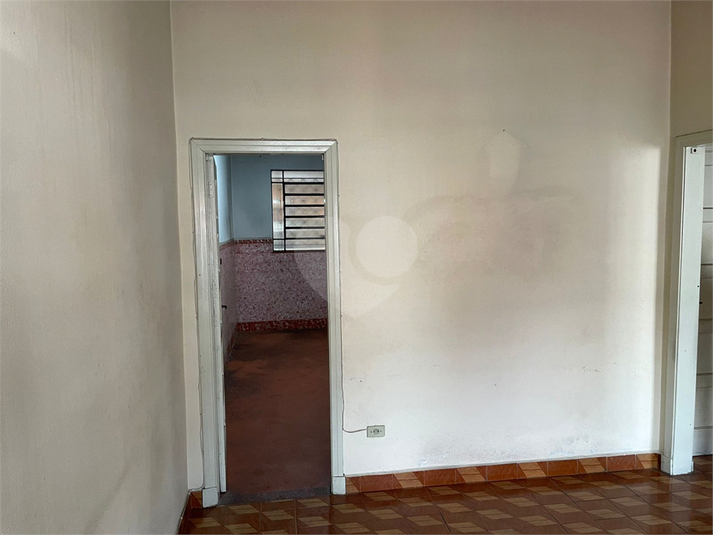 Foto REO1136283