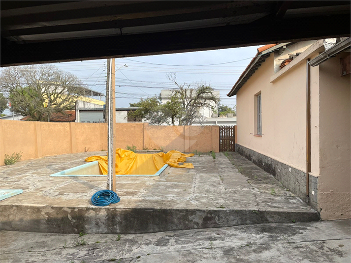 Foto REO1136283
