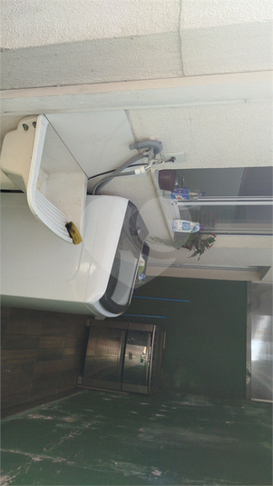 Foto REO1136296
