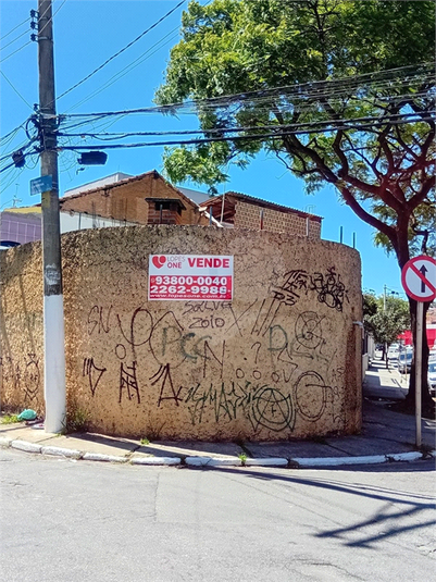 Foto REO1136303