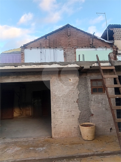 Foto REO1136303