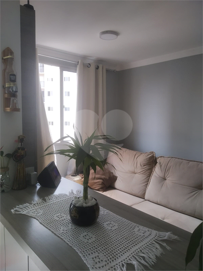 Foto REO1136330