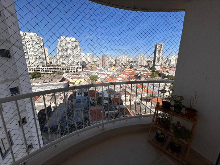 Foto REO1136342