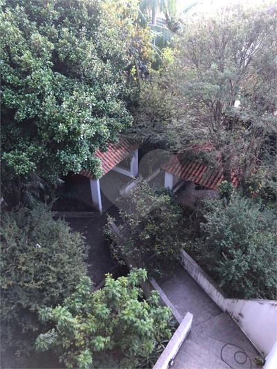 Foto REO1136350