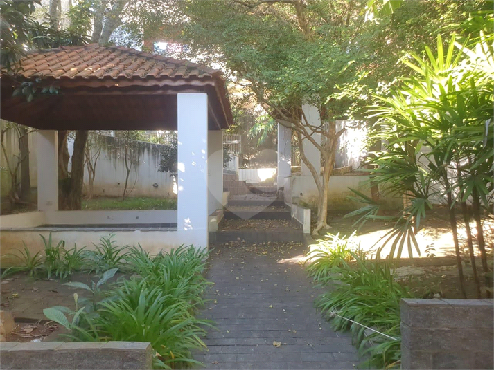 Foto REO1136350