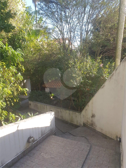 Foto REO1136350