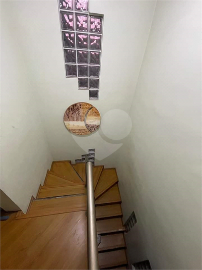 Foto REO1136350