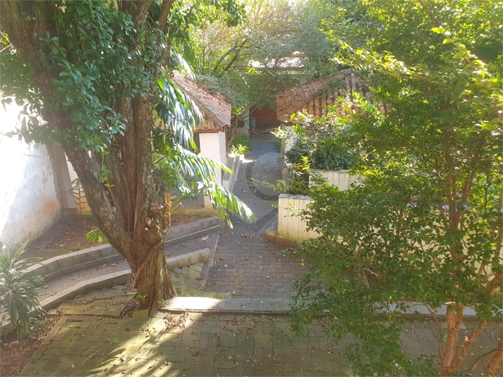 Foto REO1136350
