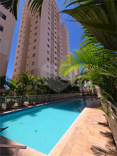 Foto REO1136370