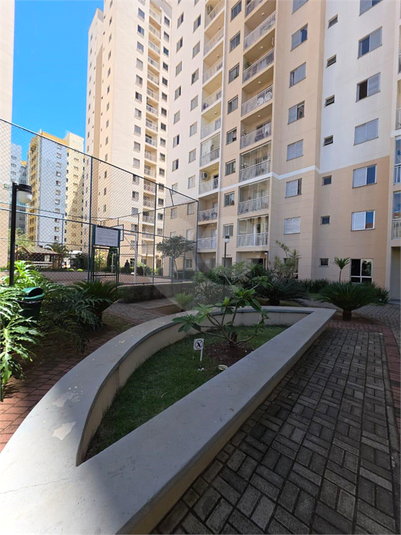 Foto REO1136370