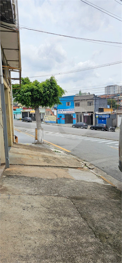 Foto REO1136379