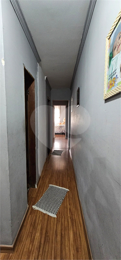 Foto REO1136379