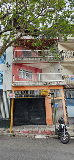 Foto REO1136379