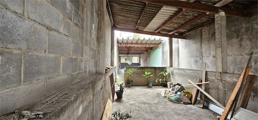 Foto REO1136379