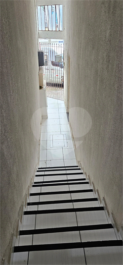 Foto REO1136379