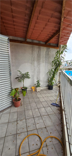 Foto REO1136379