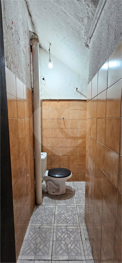 Foto REO1136379
