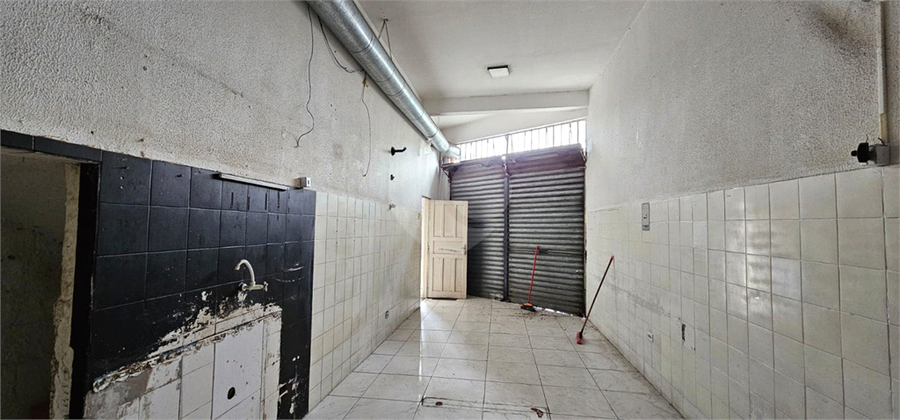 Foto REO1136379