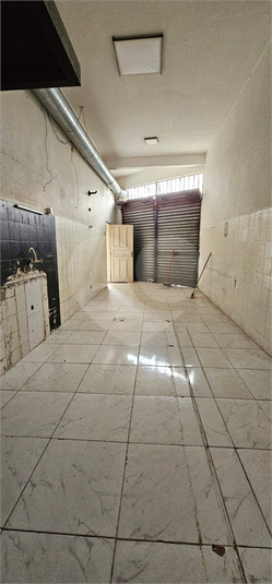 Foto REO1136379