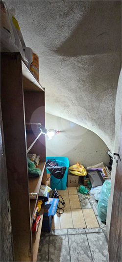 Foto REO1136379