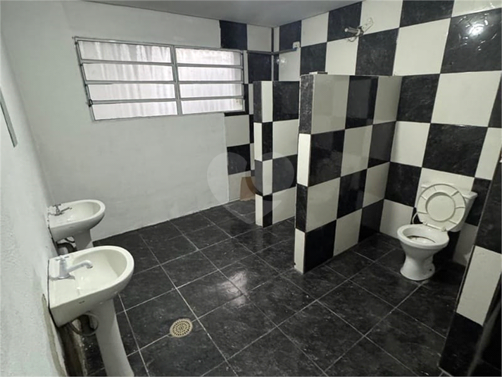 Foto REO1136383