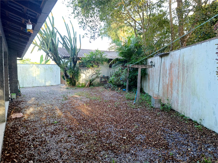 Foto REO1136388