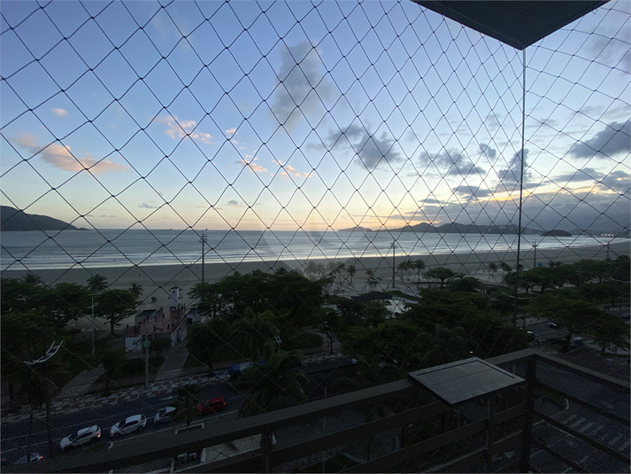 Foto REO1136406