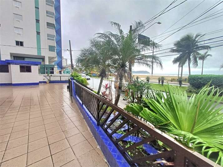 Foto REO1136412