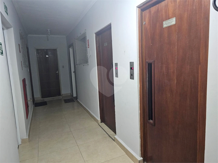 Foto REO1136412