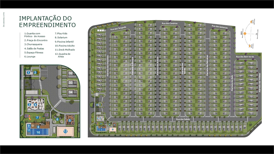 Foto REO1136424