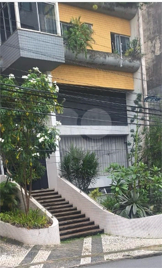 Foto REO1136445
