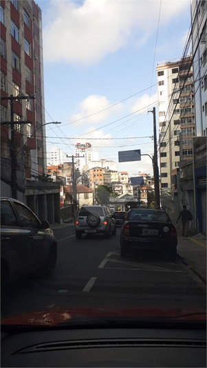 Foto REO1136445