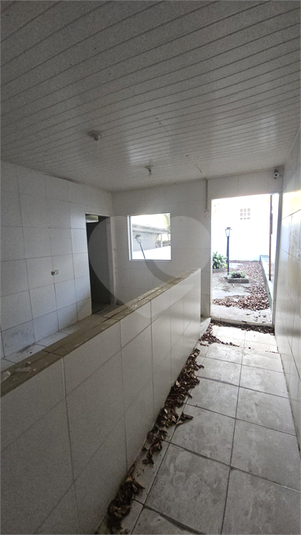 Foto REO1136449