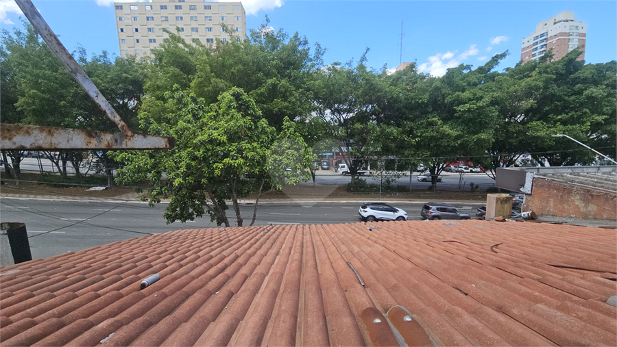 Foto REO1136449