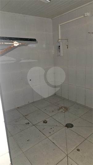 Foto REO1136449