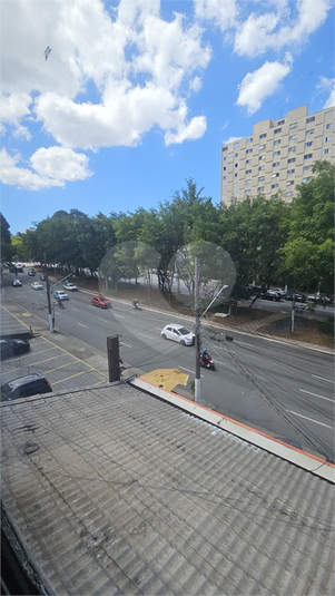 Foto REO1136449