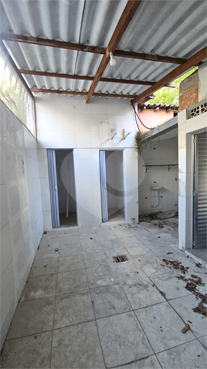 Foto REO1136449