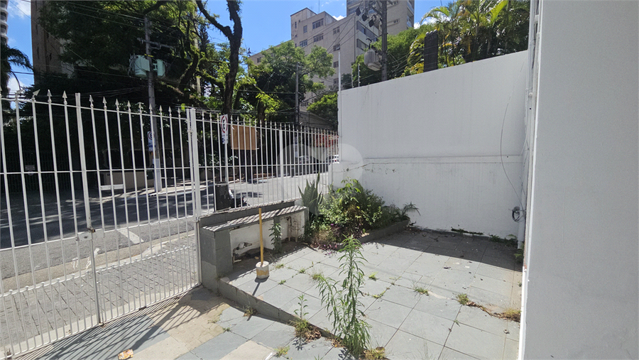 Foto REO1136449