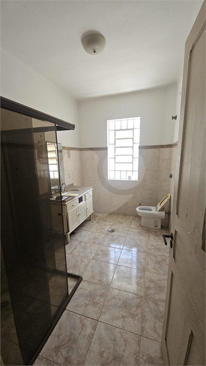Foto REO1136449